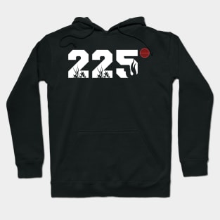 225 degrees Hoodie